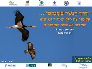&quot;דֶּרֶךְ הַנּ ֶשׁ ֶר בַּשָּׁמַיִם&quot;... על מורשת חיל האוויר ושיתוף הציבור בשימור הציפורים