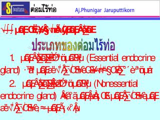 ต่อมไทรอยด์ คือ ต่อมไร้ท่อชนิดหนึ่งของร่างกาย อยู่บริเวณคอด้านหน้า , วางอยู่หน้าต่อหลอดลม