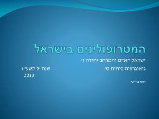 המטרופולינים בישראל