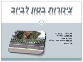 צינורות בטון לביוב