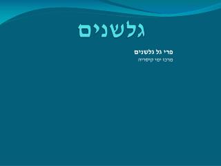 גלשנים