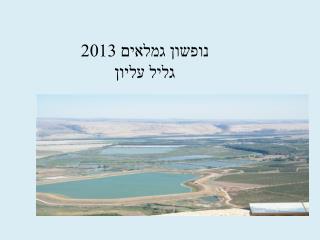 נופשון גמלאים 2013 גליל עליון