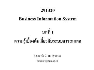 291320 Business Information System
