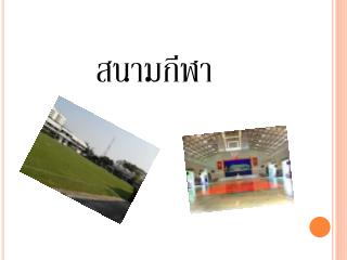 สนามกีฬา