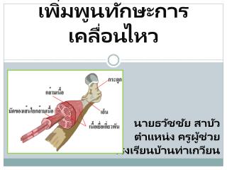 เพิ่มพูนทักษะการเคลื่อนไหว