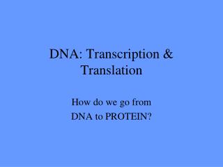 DNA: Transcription &amp; Translation