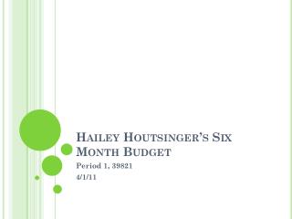 Hailey Houtsinger’s Six Month Budget