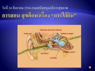 การสอน สุขศึกษาเรื่อง “การได้ยิน”