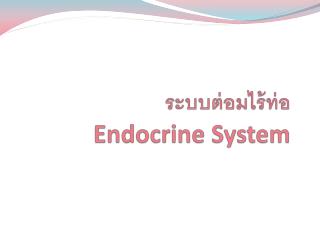 ระบบต่อมไร้ท่อ Endocrine System