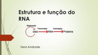 Estrutura e função do RNA