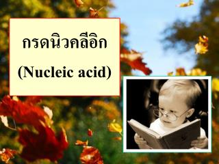 กรดนิวคลีอิก ( Nucleic acid )
