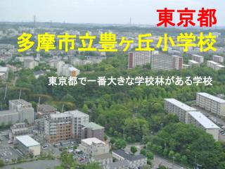 東京都 多摩市立豊ヶ丘小学校