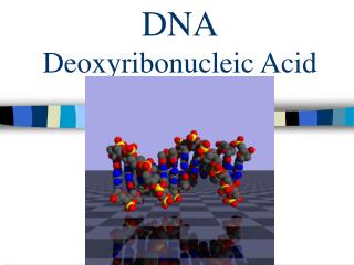 DNA Deoxyribonucleic Acid