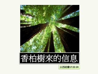 香柏樹來的信息