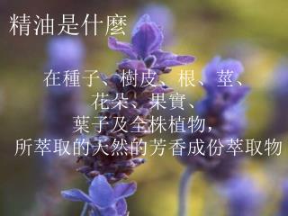 精油是什麼