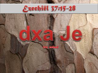 dxa Je étz echad