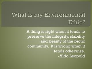 What is my Environmental Ethic?