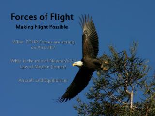 Forces of Flight Making Flight Possible