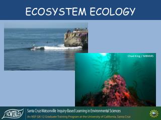 ECOSYSTEM ECOLOGY