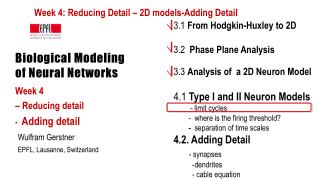 Biological Modeling of Neural Networks