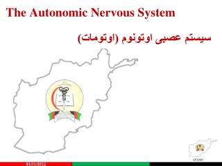 سیستم عصبی اوتونوم (اوتومات)