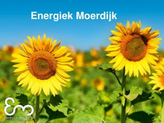 Energiek Moerdijk