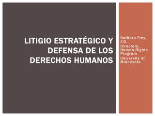 Litigio Estratégico y Defensa de los Derechos Humanos