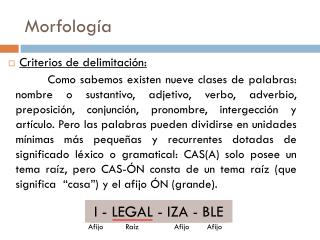 Morfología