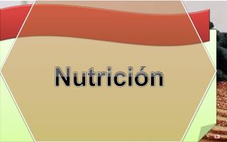 Nutrición