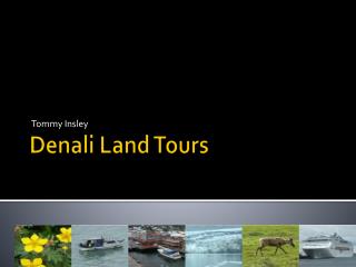 Denali Land Tours