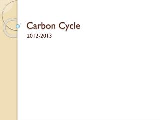 Carbon Cycle