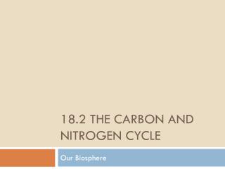 18.2 The Carbon and nitrogen cycle