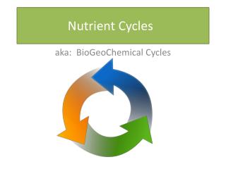 Nutrient Cycles