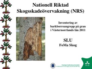 Nationell Riktad Skogsskadeövervakning (NRS)