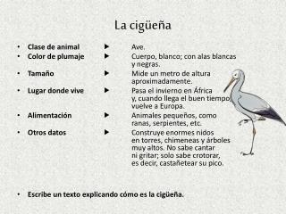 La cigüeña
