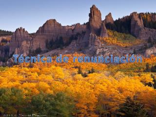 Técnica de renunciación