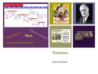 Timeline