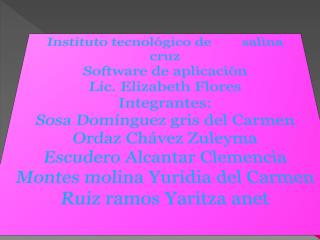 Instituto tecnológico de salina cruz Software de aplicación Lic. Elizabeth Flores