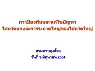 การป้องกันและแก้ไขปัญหา ไข้หวัดนกและการระบาดใหญ่ของไข้หวัดใหญ่