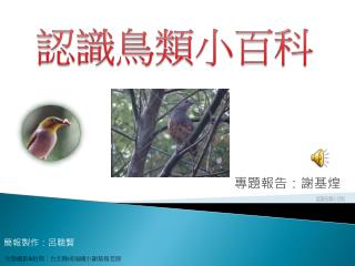 認識鳥類小百科