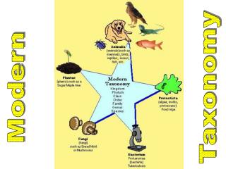 Modern Taxonomy