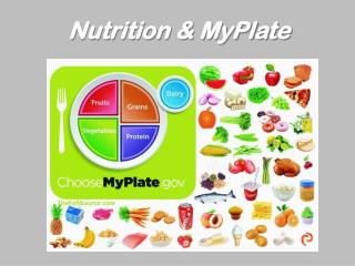 Nutrition &amp; MyPlate