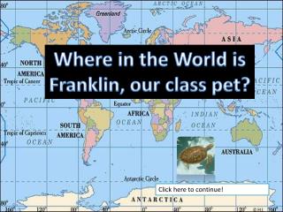 Where in the World is Franklin, our class pet?