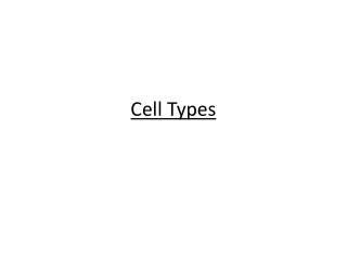 Cell Types