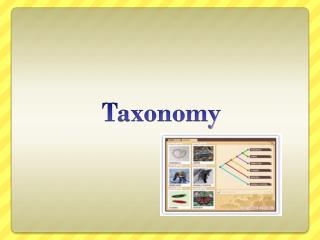 Taxonomy