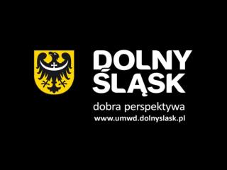 Regionalna Strategia Innowacji dla Województwa Dolnośląskiego na lata 2011-2020 Justyna Lasak