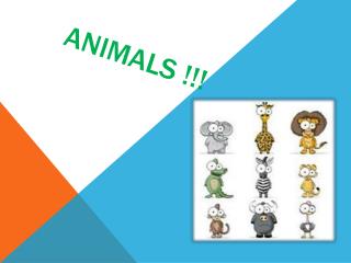 ANIMALS !!!