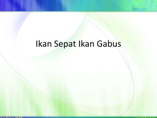 Ikan Sepat Ikan Gabus