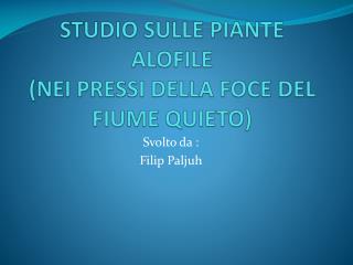 STUDIO SULLE PIANTE ALOFILE (NEI PRESSI DELLA FOCE DEL FIUME QUIETO)