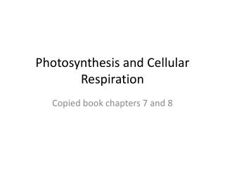 Photosynthesis and Cellular Respiration